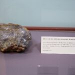 12.03.2021. Kielce. Muzeum Historii Kielc. Wystawa „Podarunki. Depozyty. Odkrycia” / Wiktor Taszłow / Radio Kielce