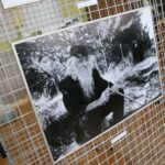 12.03.2021. Kielce. 42. Doroczna wystawa fotografii Oś ZPAF / Wiktor Taszłow / Radio Kielce