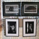 12.03.2021. Kielce. 42. Doroczna wystawa fotografii Oś ZPAF / Wiktor Taszłow / Radio Kielce