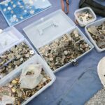 13.03.2021. Kielce. Giełda kolekcjonerska / Wiktor Taszłow / Radio Kielce