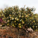 15.03.2021. Kielce. Pierwsze oznaki wiosny w Ogrodzie Botanicznym / Wiktor Taszłow / Radio Kielce