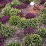 15.03.2021. Kielce. Pierwsze oznaki wiosny w Ogrodzie Botanicznym / Wiktor Taszłow / Radio Kielce