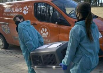 OTOZ Animals / Facebook