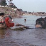 Indie / Magdalena Szczoczarz