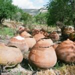 Cypr / Danuta Rasała