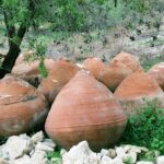 Cypr / Danuta Rasała