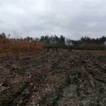 21.04.2021 Wiosenna kampania odnowieniowa lasów / Regionalna Dyrekcja Lasów Państwowych w Radomiu