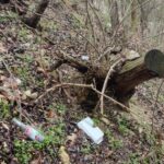 15.04.2021. Pińczów. Śmieci na „Górze Zamkowej” / Krajobrazy Ponidzia