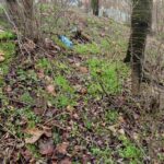15.04.2021. Pińczów. Śmieci na „Górze Zamkowej” / Krajobrazy Ponidzia
