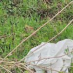 15.04.2021. Pińczów. Śmieci na „Górze Zamkowej” / Krajobrazy Ponidzia