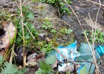 15.04.2021. Pińczów. Śmieci na „Górze Zamkowej” / Krajobrazy Ponidzia