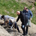 27.04.2021. Szydłów. Sadzenie miejskiej winnicy / Urząd Miasta i Gminy w Szydłowie