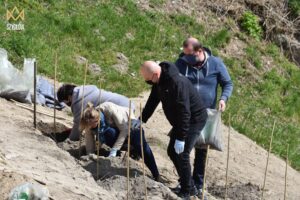 27.04.2021. Szydłów. Sadzenie miejskiej winnicy / Urząd Miasta i Gminy w Szydłowie