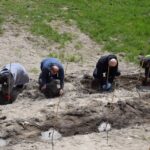 27.04.2021. Szydłów. Sadzenie miejskiej winnicy / Urząd Miasta i Gminy w Szydłowie