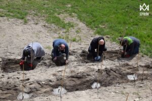 27.04.2021. Szydłów. Sadzenie miejskiej winnicy / Urząd Miasta i Gminy w Szydłowie