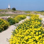 Cypr / Danuta Rasała