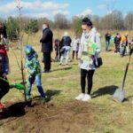 28.04.2021. Końskie. Sadzenie kasztanowców / Magdalena Galas-Klusek / Radio Kielce