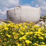 Cypr / Danuta Rasała