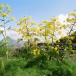 Cypr / Danuta Rasała