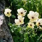 Cypr / Danuta Rasała