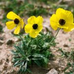 Cypr / Danuta Rasała