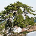 Cypr / Danuta Rasała