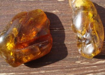 bursztyn / pixabay.com