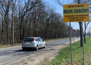 A.Pospiszyl/Radio Opole
