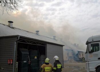 05.04.2021. Perzyny. Strażacy podczas akcji gaszenia pożaru budynku, w którym mieściła się hodowla kurczaków w Perzynach (pow. nowotomyski woj. wielkopolskie) / PAP/KP PSP Nowy Tomyśl