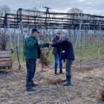 15.02.2021. Sandomierz. Sadzenie dawnych odmian jabłoni / Zespół Szkół Centrum Kształcenia Rolniczego w Sandomierzu