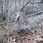 01.04.2021 Skarżysko. Akcja uwalniania sarny / świętokrzyska policja