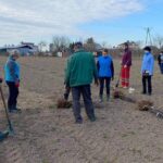 15.02.2021. Sandomierz. Sadzenie dawnych odmian jabłoni / Zespół Szkół Centrum Kształcenia Rolniczego w Sandomierzu