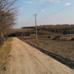 Ameryka - przysiółek Dzierążni, wsi w powiecie pińczowskim, w gminie Działoszyce / Marta Gajda / Radio Kielce