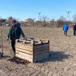 15.02.2021. Sandomierz. Sadzenie dawnych odmian jabłoni / Zespół Szkół Centrum Kształcenia Rolniczego w Sandomierzu