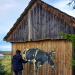 Deskal w Tychowie. Na zdjęciu: Arkadiusz Andrejkow / Anna Głąb / Radio Kielce