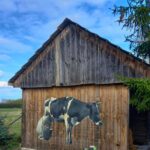 Deskal w Tychowie / Anna Głąb / Radio Kielce