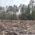 16.04.2021. Szczeka. Akcja „Sadzimy kolejne pokolenie lasu” / Grażyna Szlęzak-Wójcik / Radio Kielce