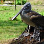 Muzyczne podróże. Albania. Nieodkryta Kraina Orłów / Marek Chabros / archiwum prywatne