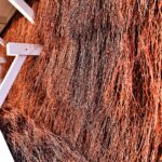 04.04. 2021. Fałków. Tężnia / Magdalena Galas-Klusek / Radio Kielce