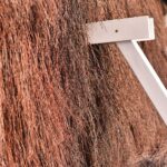 04.04. 2021. Fałków. Tężnia / Magdalena Galas-Klusek / Radio Kielce