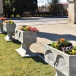 02.04.2021 Końskie. Nasadzenia kwiatów / Magdalena Galas-Klusek / Radio Kielce