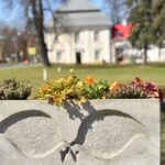 02.04.2021 Końskie. Nasadzenia kwiatów / Magdalena Galas-Klusek / Radio Kielce