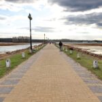 06.04.2021. Sielpia. Wycinka krzewów i starych drzew na molo / Magdalena Galas-Klusek / Radio Kielce