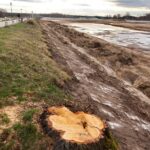 06.04.2021. Sielpia. Wycinka krzewów i starych drzew na molo / Magdalena Galas-Klusek / Radio Kielce