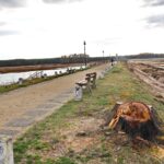 06.04.2021. Sielpia. Wycinka krzewów i starych drzew na molo / Magdalena Galas-Klusek / Radio Kielce