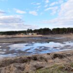 06.04.2021. Sielpia. Wycinka krzewów i starych drzew na molo / Magdalena Galas-Klusek / Radio Kielce