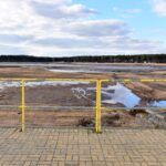 06.04.2021. Sielpia. Wycinka krzewów i starych drzew na molo / Magdalena Galas-Klusek / Radio Kielce