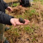 17.04.2021 Maleniec. Poszukiwanie skarbów / Magdalena Galas-Klusek / Radio Kielce