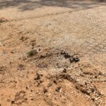 22.04.2021 Sielpia. Miłośnicy quadów rozjeżdżają dno zbiornika / Magdalena Galas-Klusek / Radio Kielce