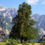 Muzyczne podróże. Albania. Nieodkryta Kraina Orłów / Marek Chabros / archiwum prywatne